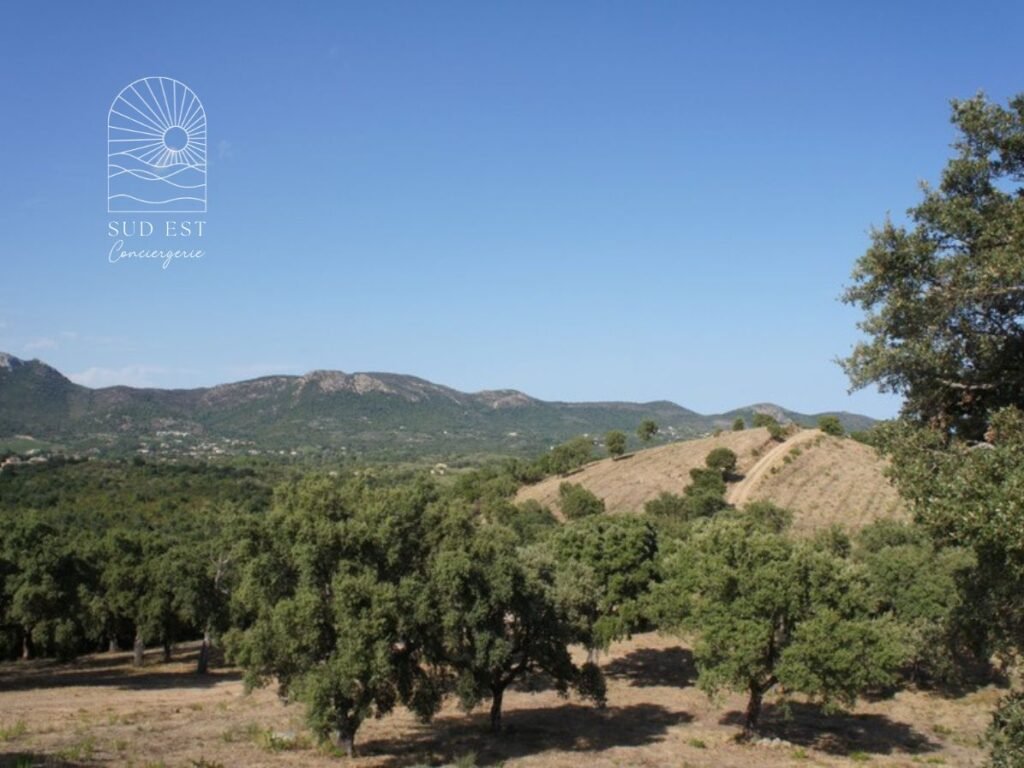 Location villa au coeur de la nature Corse