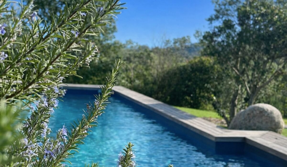 1Villa piscine Sainte Lucie Porto Vecchio