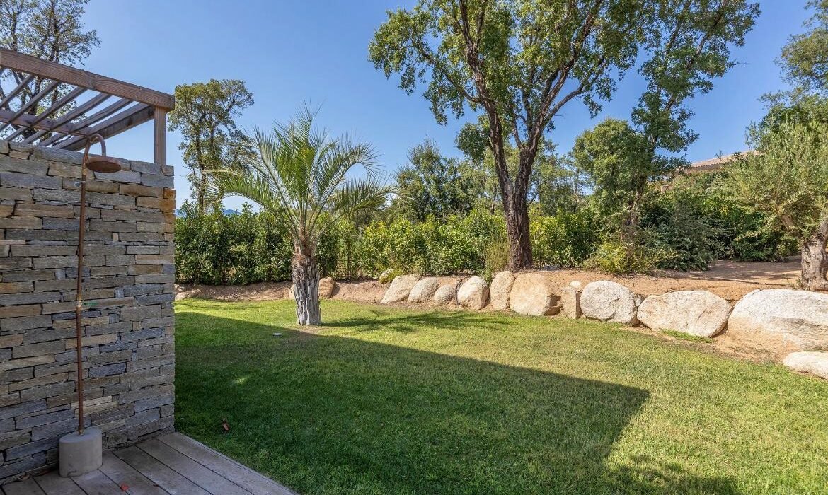 PHOTO-2026-02-03-11-18-47 29