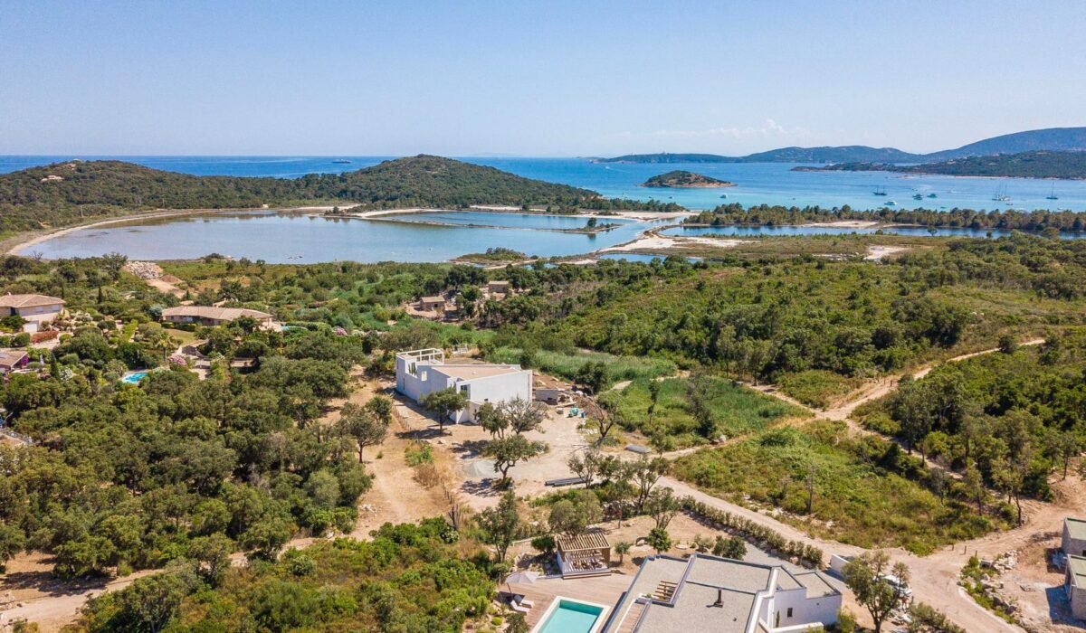 PHOTO-2026-02-03-11-28-04 2