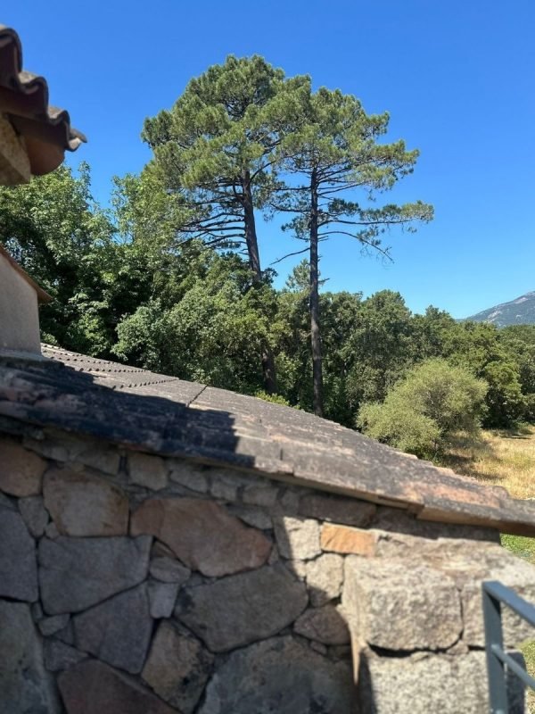 11Bergerie Villa Piscine Porto Vecchio