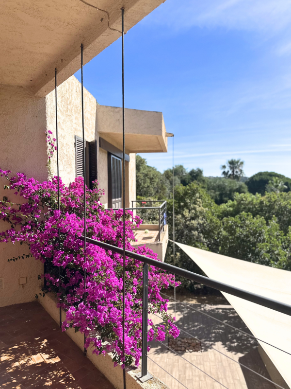 3Villa Pinarello
