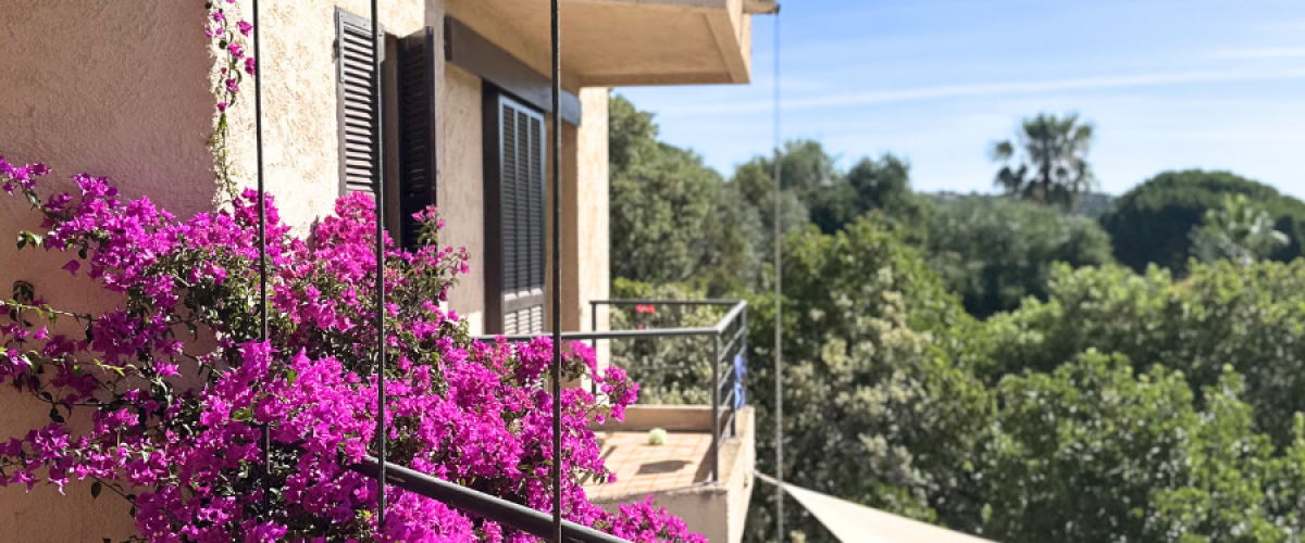 3Villa Pinarello
