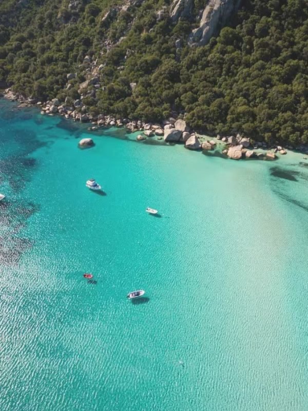 Location Studio Dolce Vita - Appartement Porto Vecchio (2)