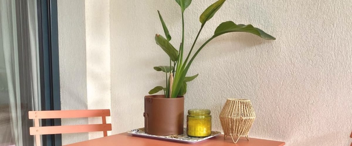 Location Studio Dolce Vita - Appartement Porto Vecchio (23)