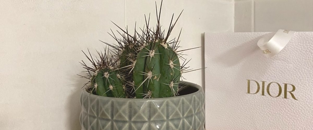 Location Studio Dolce Vita - Appartement Porto Vecchio (30)