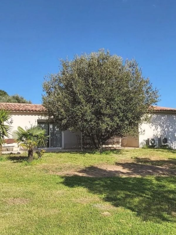 Location Villa Livia proche rivière Porto Vecchio (16)
