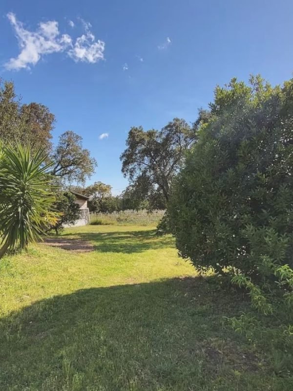 Location Villa Livia proche rivière Porto Vecchio (17)