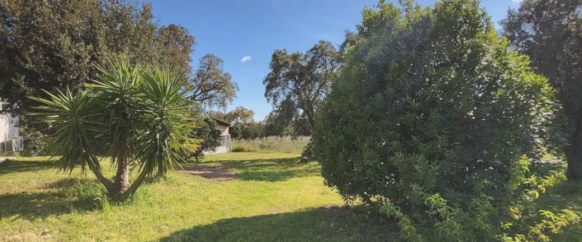 Location Villa Livia proche rivière Porto Vecchio (17)