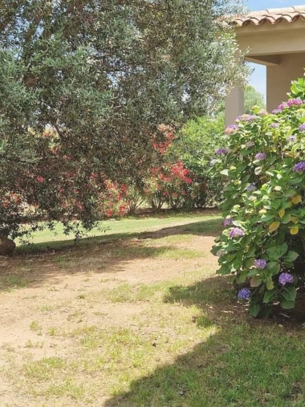 Location Villa Livia proche rivière Porto Vecchio (8)