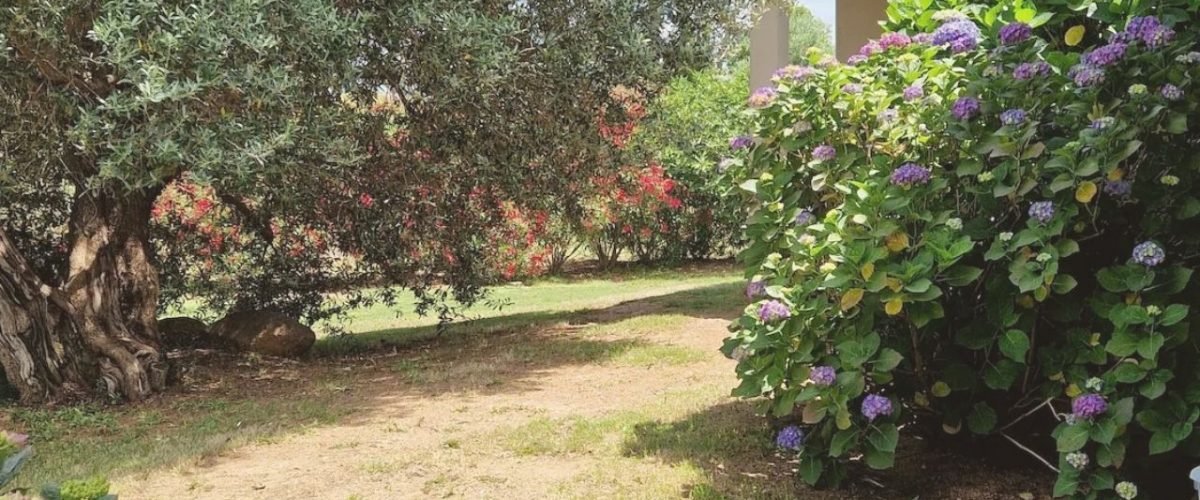 Location Villa Livia proche rivière Porto Vecchio (8)