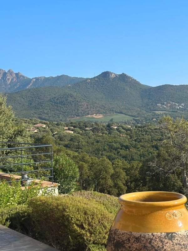 Location Villa Pinarello Vue Mer (19)