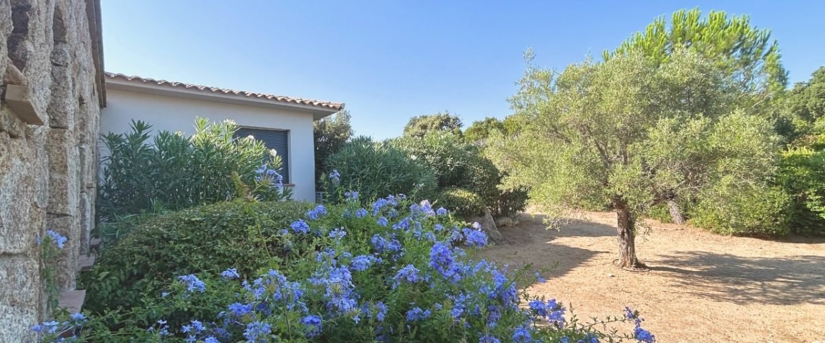 Location Villa Pinarello Vue Mer (50)