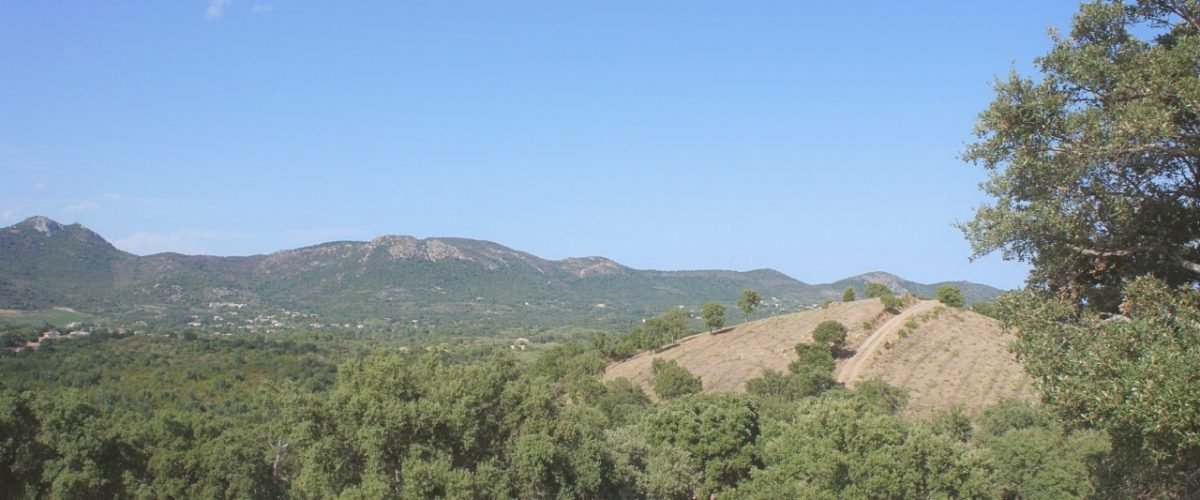 Location Villa Pinarello Vue Mer (6)