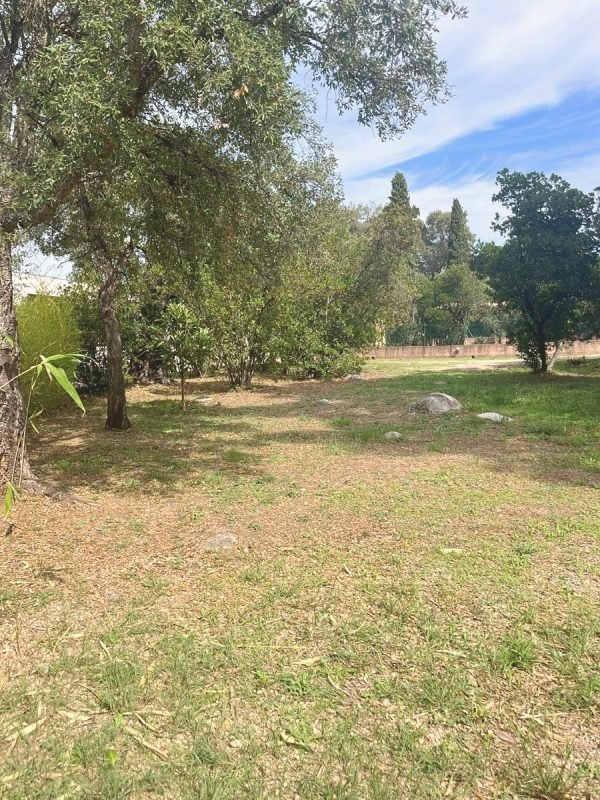 Location de vacances Sainte Lucie de Porto Vecchio - Villa sous le pin (8)