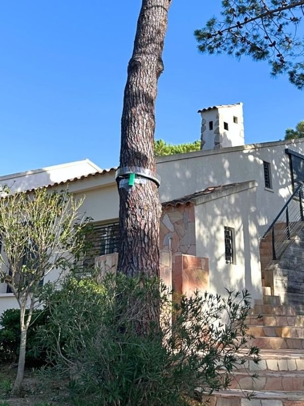 Location villa pieds dans l'eau Porto Vecchio67