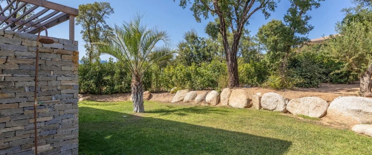 PHOTO-2026-02-03-11-18-47 29