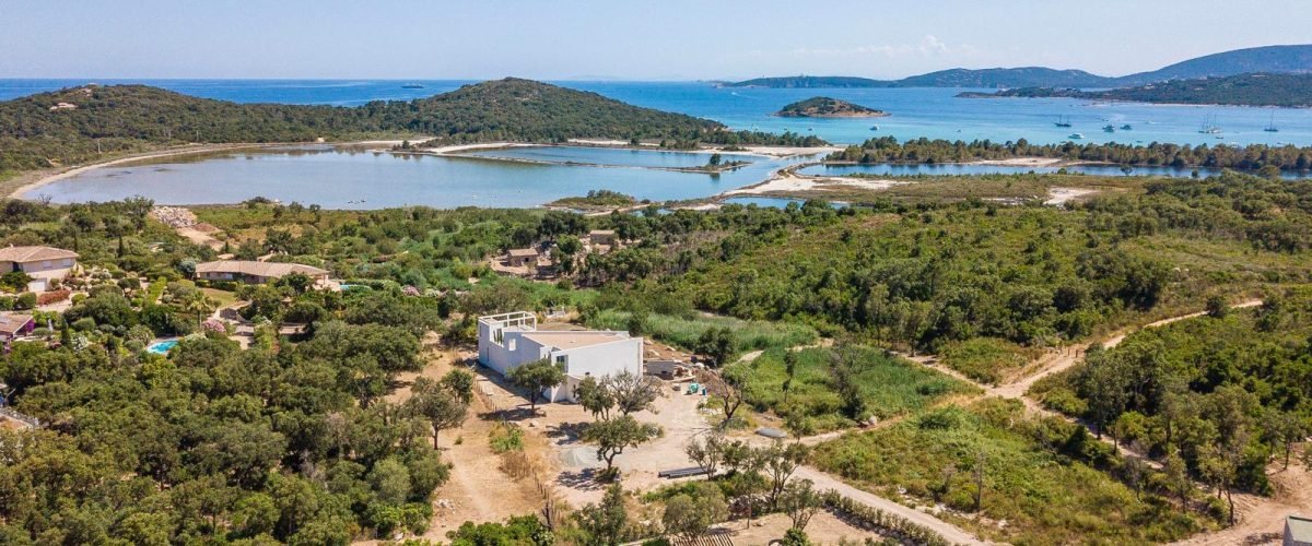 PHOTO-2026-02-03-11-28-04 2