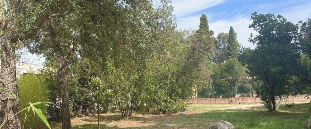 Villa sous le pin - Location vacances Pinarello Corse (24)